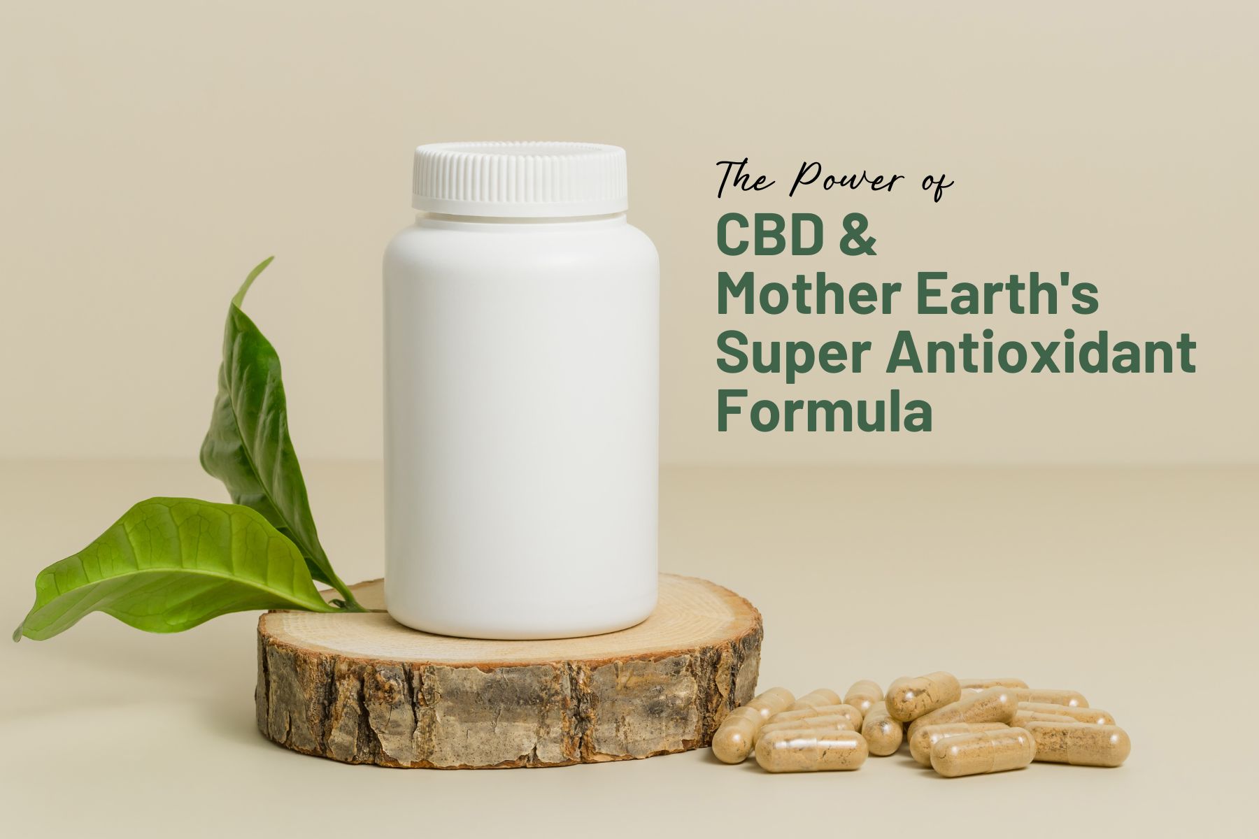 Maximizing the Power of CBD and Mother Earth's Super Antioxidant Formula Tablets: A Match Made in Heaven